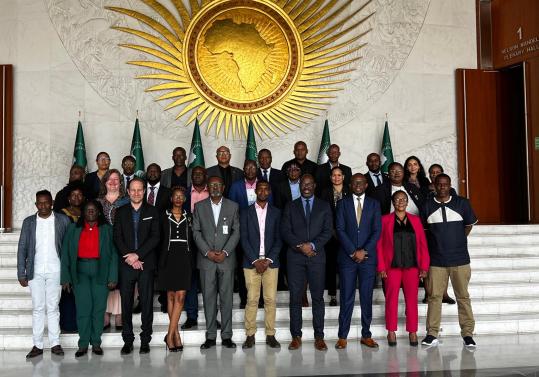 Hybrid MOOC strengthens capacity of government officials across Africa